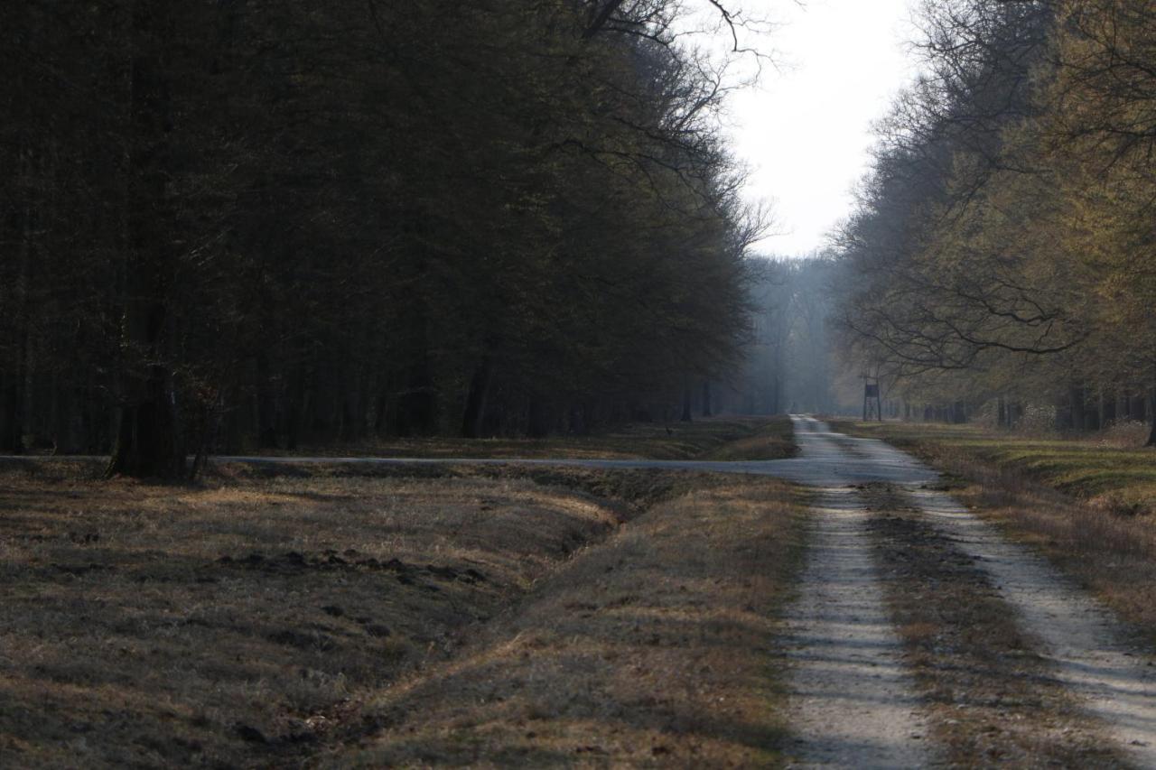 Sobe Pilajevo 2, 183 Ulica Stjepana Radica, Gola Lägenhet Exteriör bild