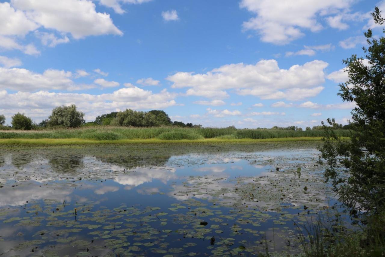 Sobe Pilajevo 2, 183 Ulica Stjepana Radica, Gola Lägenhet Exteriör bild